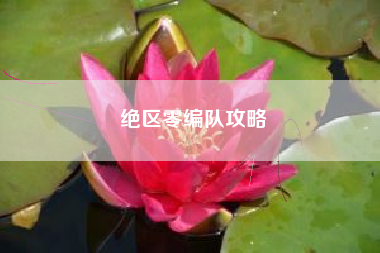 绝区零编队攻略