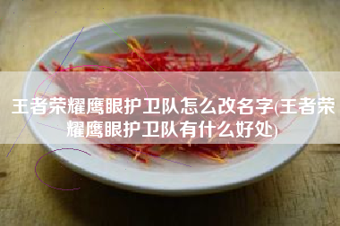 王者荣耀鹰眼护卫队怎么改名字(王者荣耀鹰眼护卫队有什么好处)