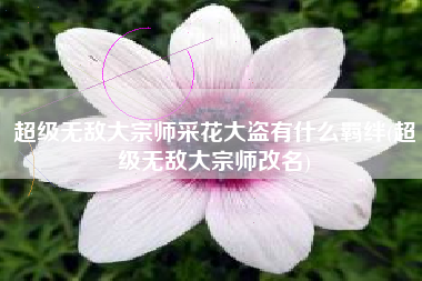 超级无敌大宗师采花大盗有什么羁绊(超级无敌大宗师改名)