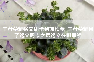 王者荣耀铭文周卡到期续费_王者荣耀用了铭文周卡之后铭文在哪里领