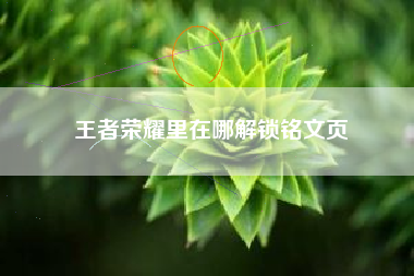王者荣耀里在哪解锁铭文页