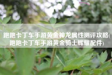 跑跑卡丁车手游黄金神龙属性测评攻略(跑跑卡丁车手游黄金骑士辉耀配件)