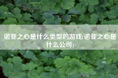 诺亚之心是什么类型的游戏(诺亚之心是什么公司)