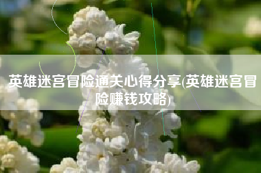 英雄迷宫冒险通关心得分享(英雄迷宫冒险赚钱攻略)