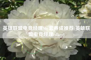 英雄联盟电竞经理Shy套养成推荐(英雄联盟电竞经理cdkey)