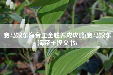 赛马娘东海帝王全胜养成攻略(赛马娘东海帝王怪文书)