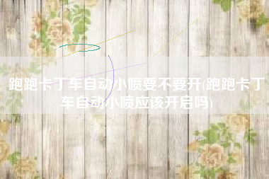 跑跑卡丁车自动小喷要不要开(跑跑卡丁车自动小喷应该开启吗)