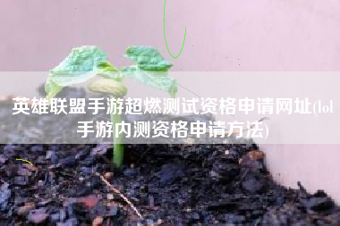 英雄联盟手游超燃测试资格申请网址(lol手游内测资格申请方法)
