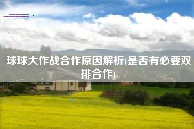 球球大作战合作原因解析(是否有必要双排合作)