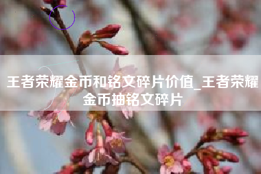 王者荣耀金币和铭文碎片价值_王者荣耀金币抽铭文碎片