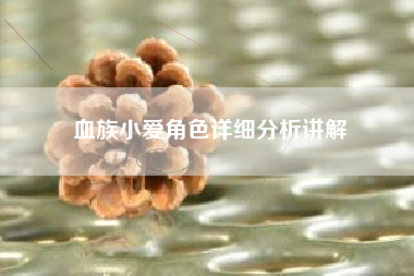 血族小爱角色详细分析讲解