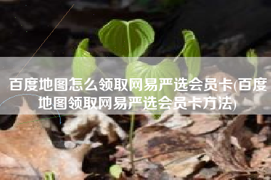 百度地图怎么领取网易严选会员卡(百度地图领取网易严选会员卡方法)