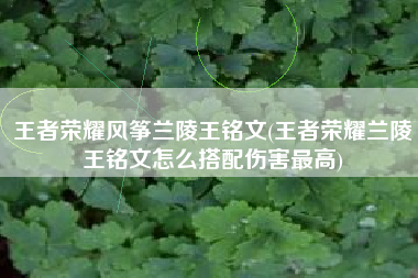 王者荣耀风筝兰陵王铭文(王者荣耀兰陵王铭文怎么搭配伤害最高)