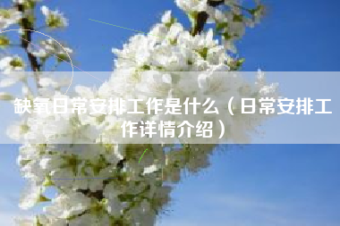 缺氧日常安排工作是什么（日常安排工作详情介绍）