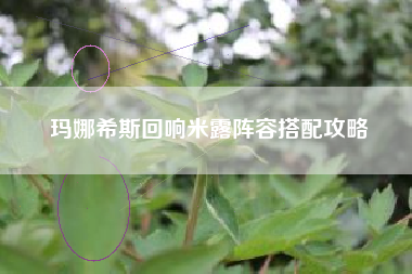玛娜希斯回响米露阵容搭配攻略
