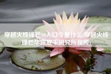 穿越火线锋芒10人口令是什么(穿越火线锋芒毕露底下研究所视频)