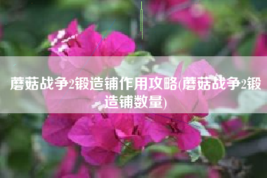 蘑菇战争2锻造铺作用攻略(蘑菇战争2锻造铺数量)