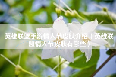 英雄联盟手游情人节皮肤介绍（英雄联盟情人节皮肤有哪些）