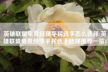英雄联盟电竞经理平民选手怎么选择(英雄联盟电竞经理平民选手选择推荐一览)
