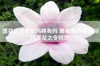 莲花之令卡尔玛稀有吗 哪里有的买(卡尔玛莲花之令特效)