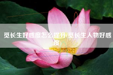 觅长生好感度怎么提升(觅长生人物好感度)