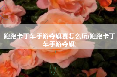 跑跑卡丁车手游夺旗赛怎么玩(跑跑卡丁车手游夺旗)