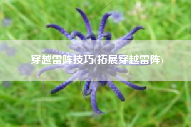 穿越雷阵技巧(拓展穿越雷阵)