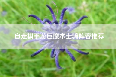 自走棋手游巨魔术士骑阵容推荐