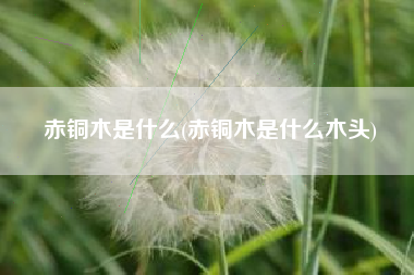 赤铜木是什么(赤铜木是什么木头)