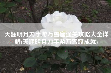 天涯明月刀手游万雪窟通关攻略大全详解(天涯明月刀手游万雪窟成就)