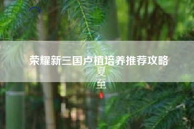 荣耀新三国卢植培养推荐攻略