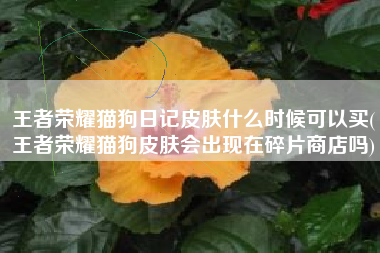 王者荣耀猫狗日记皮肤什么时候可以买(王者荣耀猫狗皮肤会出现在碎片商店吗)
