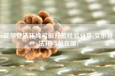 艾尔登法环纯弓箭开荒经验分享(艾尔登法环弓箭在哪)