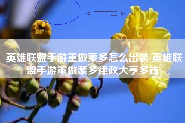 英雄联盟手游重做蒙多怎么出装(英雄联盟手游重做蒙多律政大亨多钱)