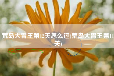 荒岛大胃王第12关怎么过(荒岛大胃王第11关)