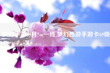 梦幻手游69月?m一线,梦幻西游手游卡69级