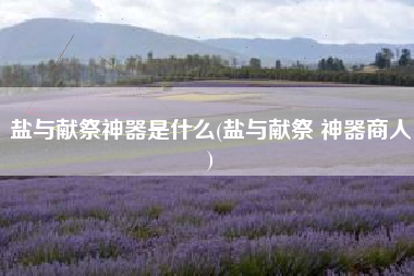 盐与献祭神器是什么(盐与献祭 神器商人)