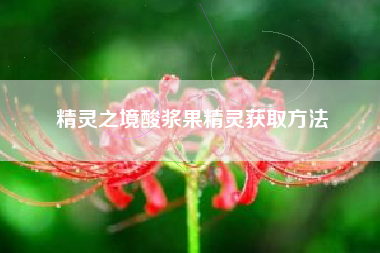 精灵之境酸浆果精灵获取方法