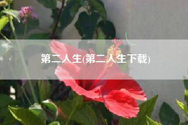 第二人生(第二人生下载)