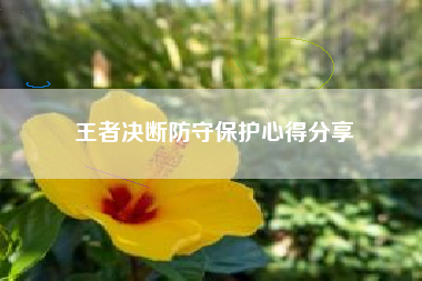 王者决断防守保护心得分享