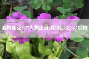 赛博朋克2077人物出身(赛博朋克2077攻略)