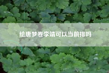 绘唐梦卷李靖可以当前排吗