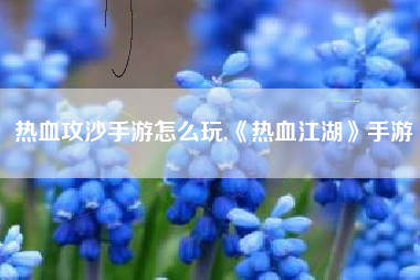 热血攻沙手游怎么玩,《热血江湖》手游