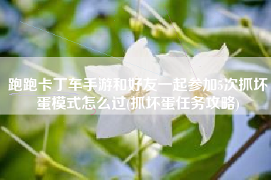 跑跑卡丁车手游和好友一起参加5次抓坏蛋模式怎么过(抓坏蛋任务攻略)