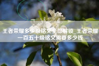 王者荣耀多少级铭文全部解锁_王者荣耀一百五十级铭文需要多少钱
