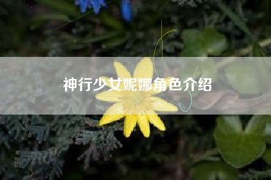 神行少女妮娜角色介绍