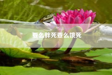 要么胖死要么饿死