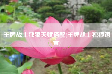 王牌战士独狼天赋搭配(王牌战士独狼语音)