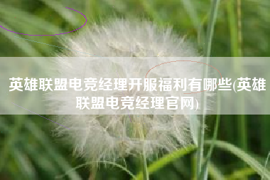 英雄联盟电竞经理开服福利有哪些(英雄联盟电竞经理官网)