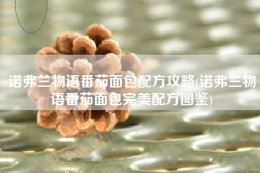 诺弗兰物语番茄面包配方攻略(诺弗兰物语番茄面包完美配方图鉴)